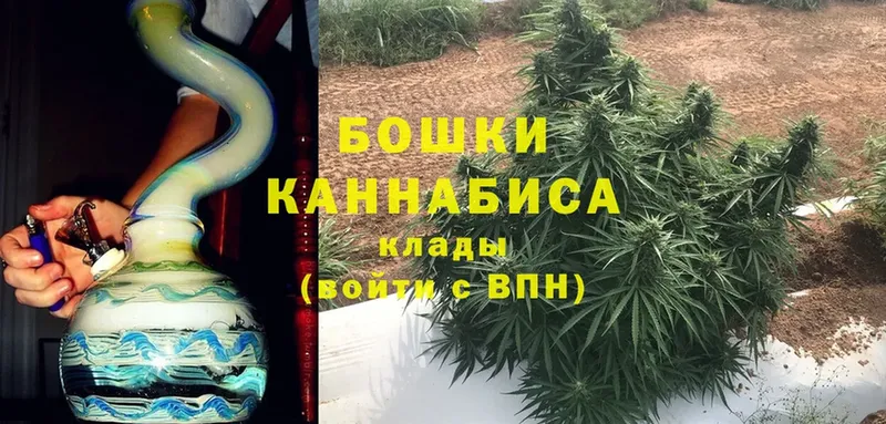 купить   Белоозёрский  Конопля OG Kush 